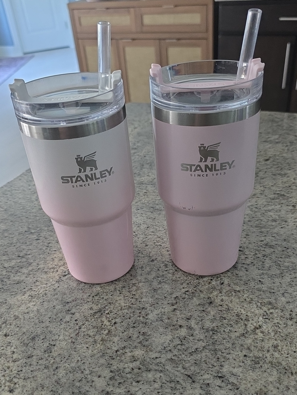 2 BUNDLE-20oz Stanley LIMITED EDITION Parfait Ombre/Parfait Pearlescent Tumbler
